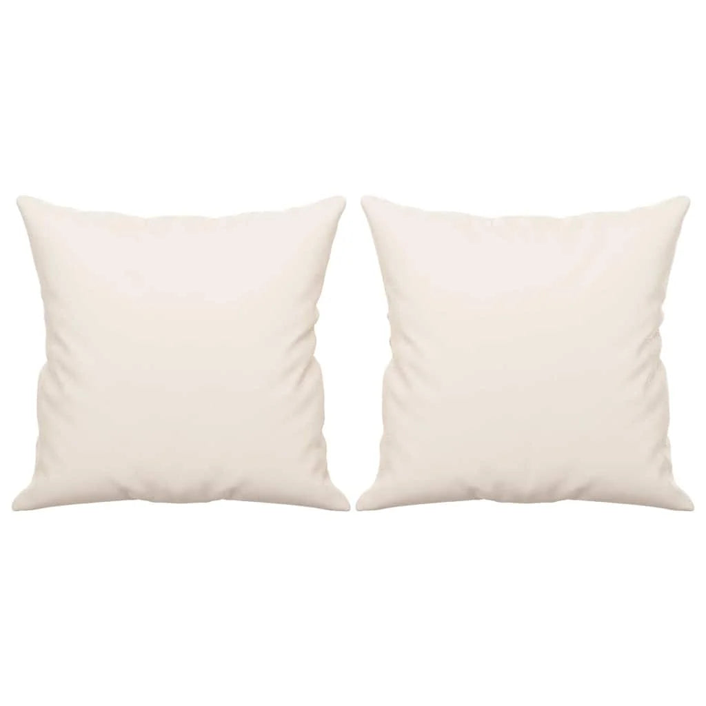 Coussin Beige : lot de 2 coussins garnis