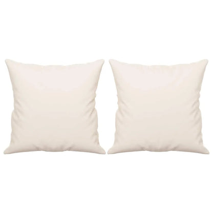 Coussin Beige : lot de 2 coussins garnis