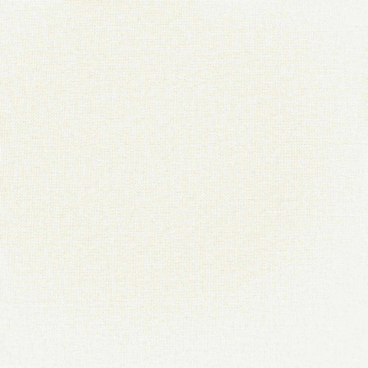 Coussin Blanc : lot de 2 coussins garnis, 50 × 50 cm