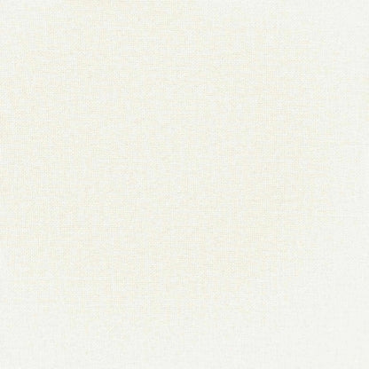 Coussin Blanc : lot de 2 coussins garnis, 50 × 50 cm