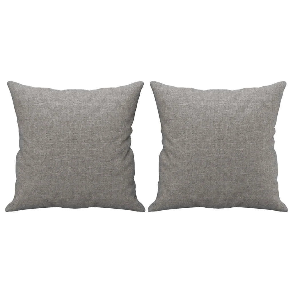 Coussin Gris gris clair : lot de 2 coussins garnis