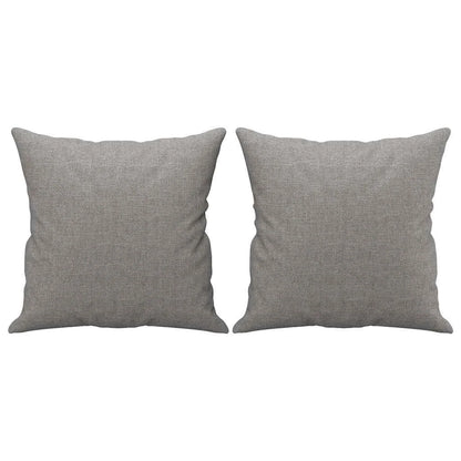 Coussin Gris gris clair : lot de 2 coussins garnis