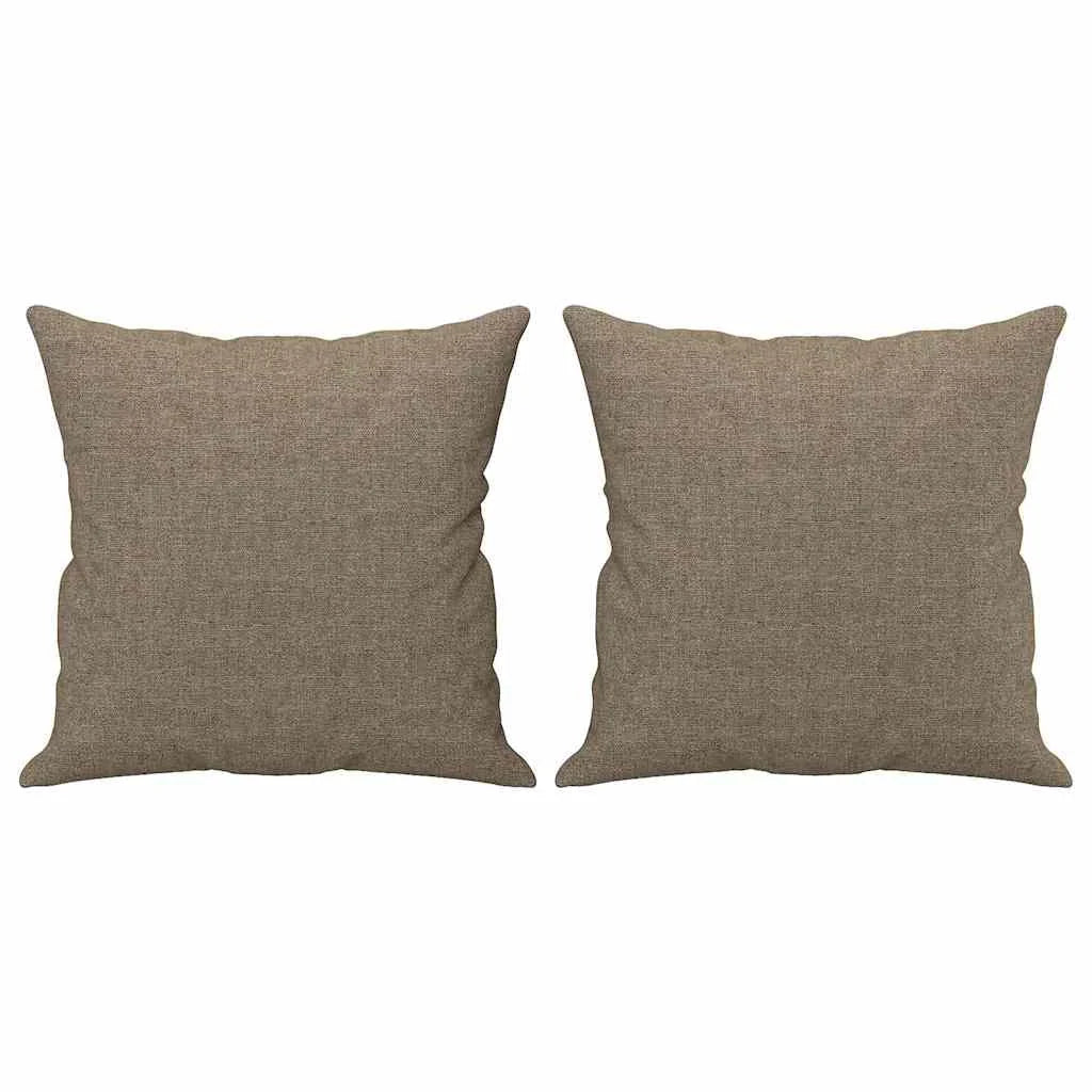 Coussin Taupe : lot de 2 coussins garnis