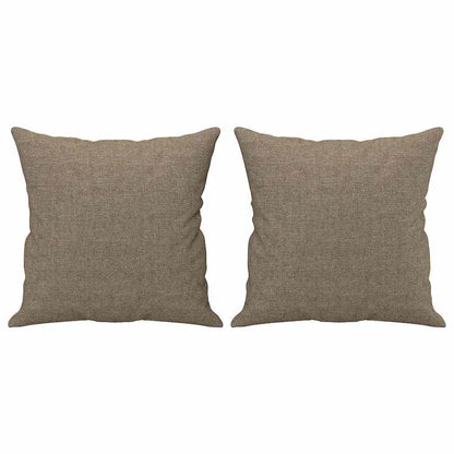 Coussin Taupe : lot de 2 coussins garnis
